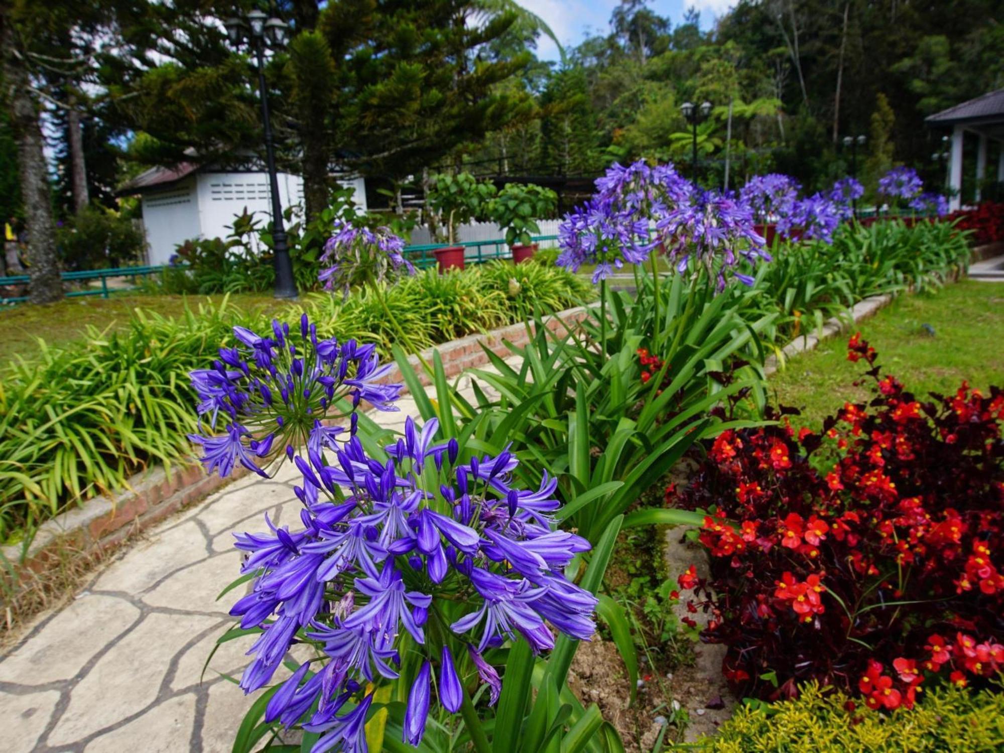 Spot On 89751 Bed Station Guest House Tanah Rata Esterno foto